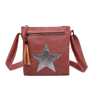 Glitter Star Accent Stylish Canvas Crossbody Bag